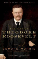 The_rise_of_Theodore_Roosevelt